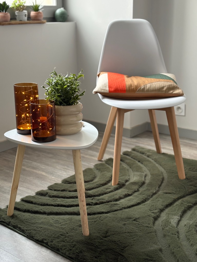 photo cabinet Roxanne Legros