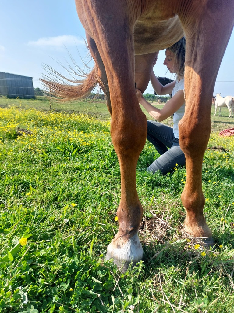 photo activite Milène Creusot