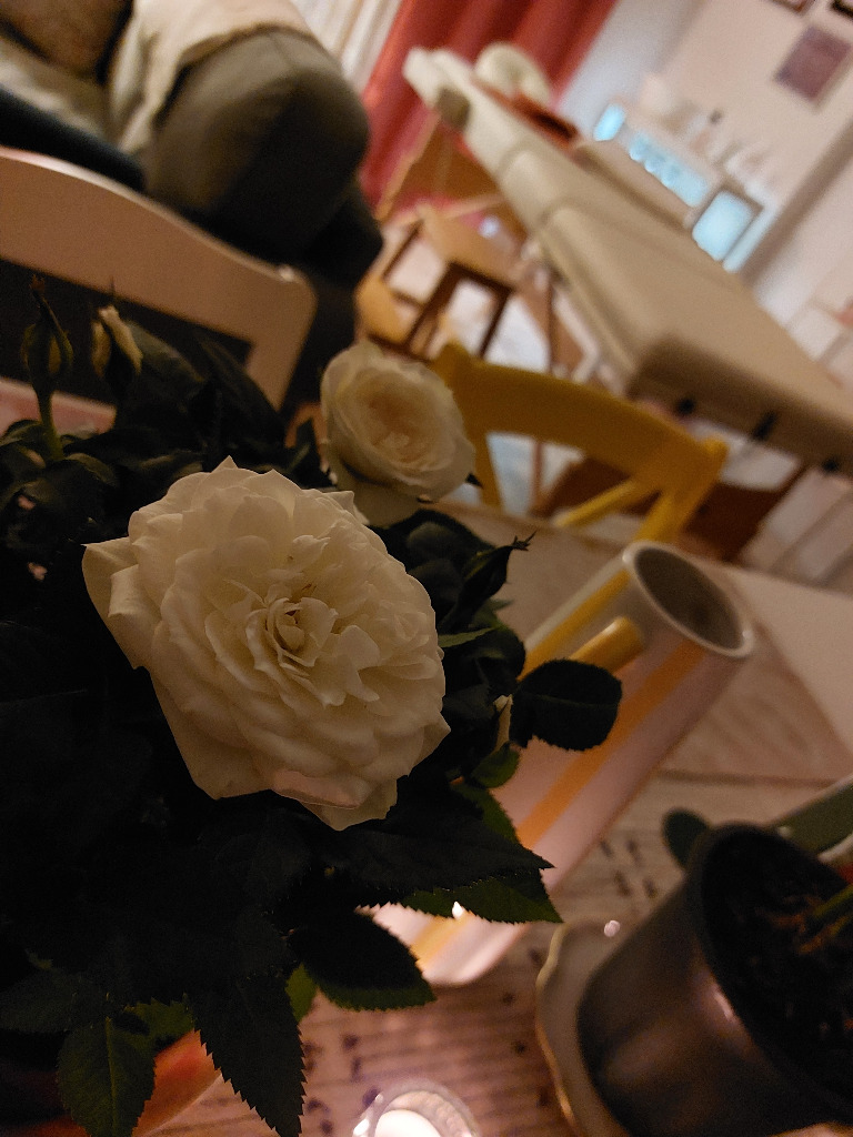 photo cabinet L’Instant Présent par Camélia