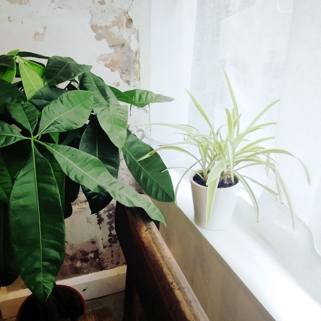 photo activite Elsa Hieramente