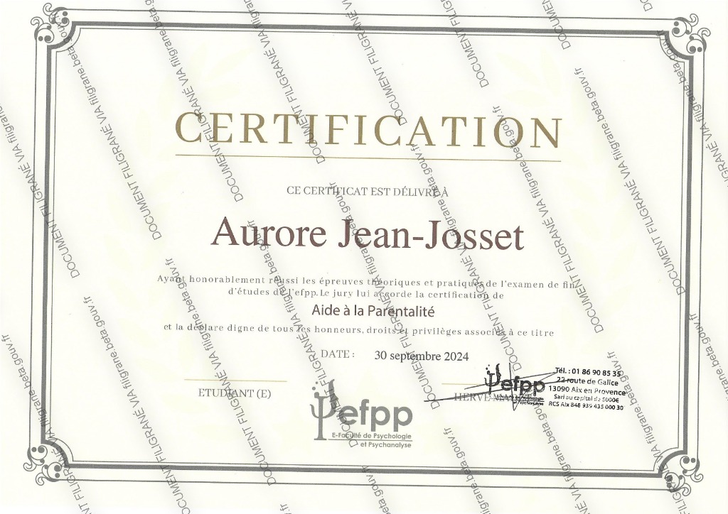 photo diplome Avenue Joseph Sauvy