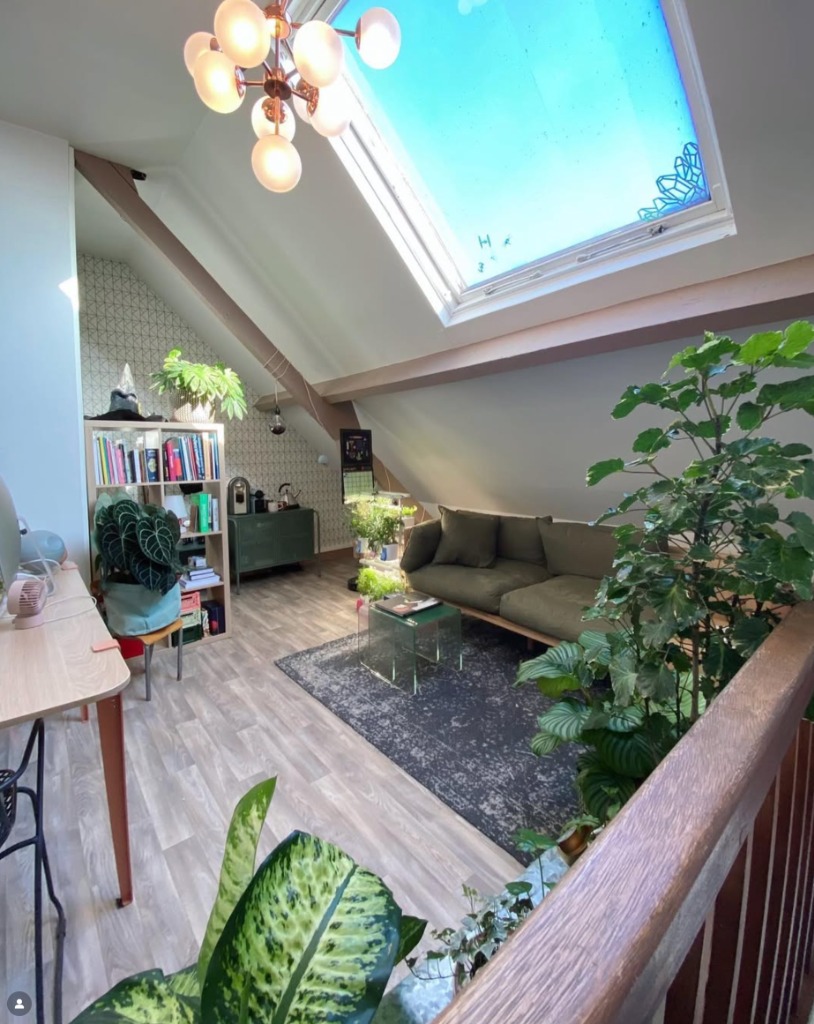 photo cabinet Gabrielle Lartigue