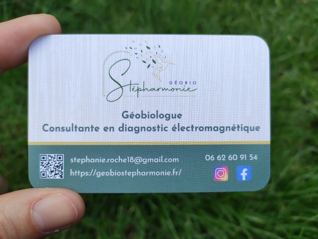photo seance Géobio Stépharmonie
