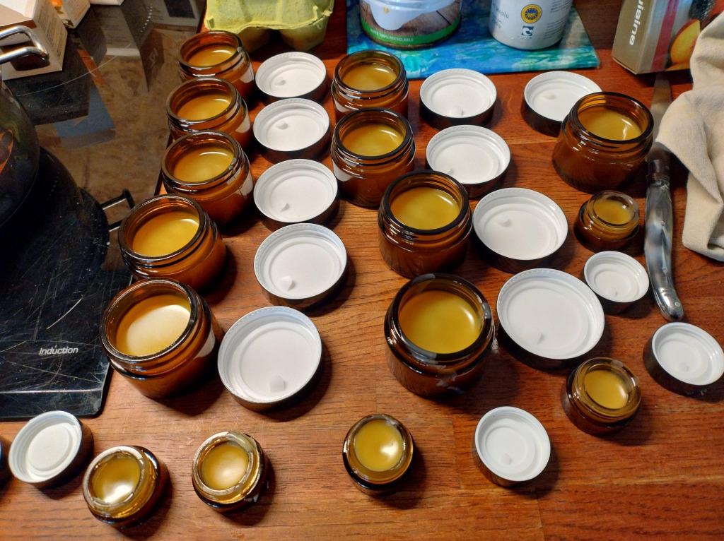 photo activite Racines et Eclosions