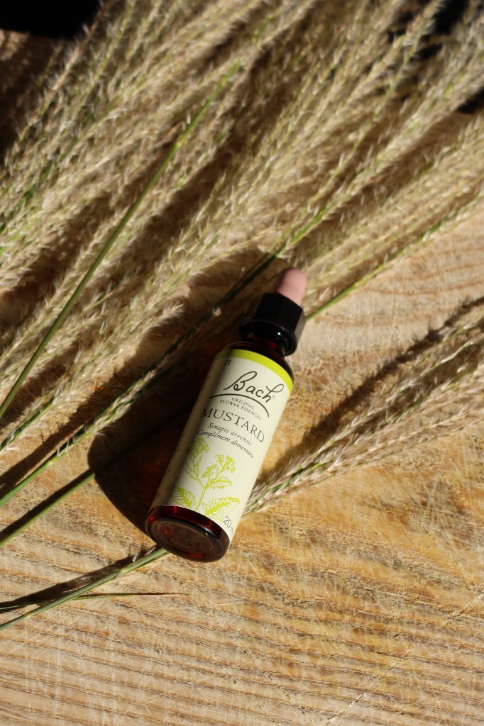 photo activite Coline Ung