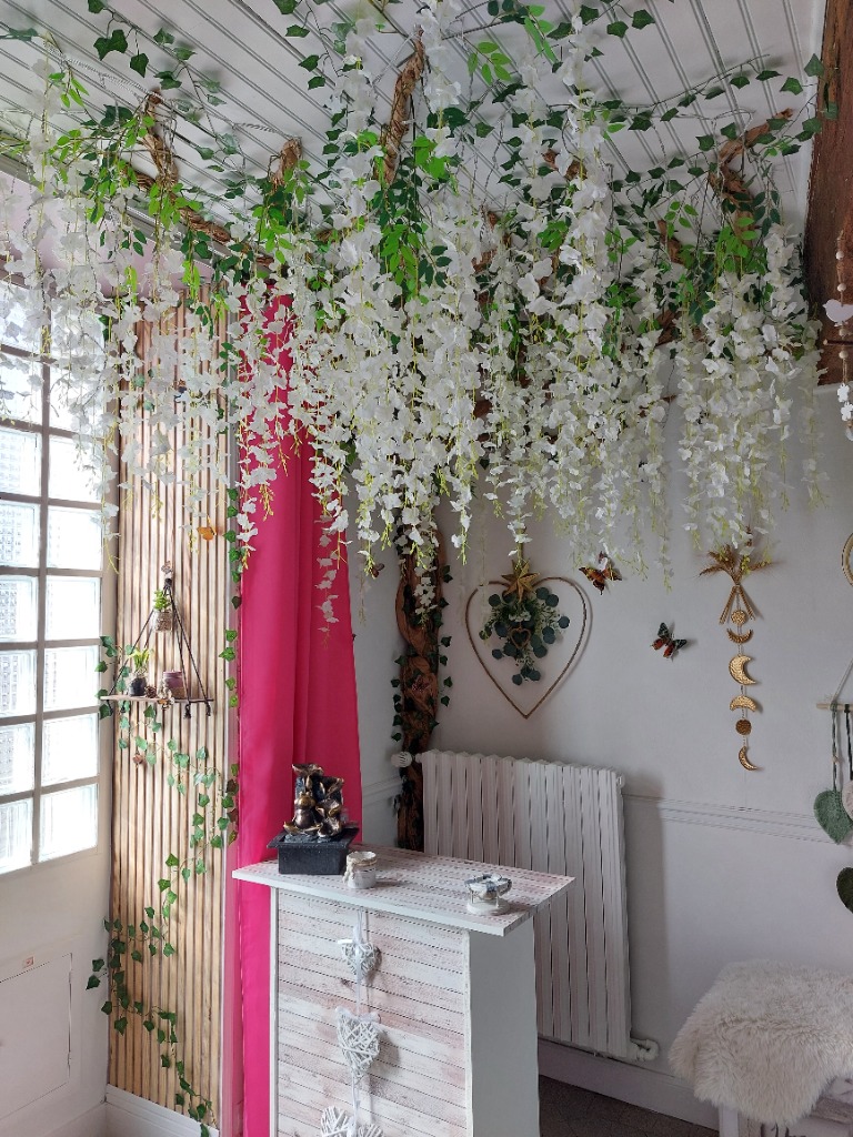 photo seance Dis-moi Aurore 