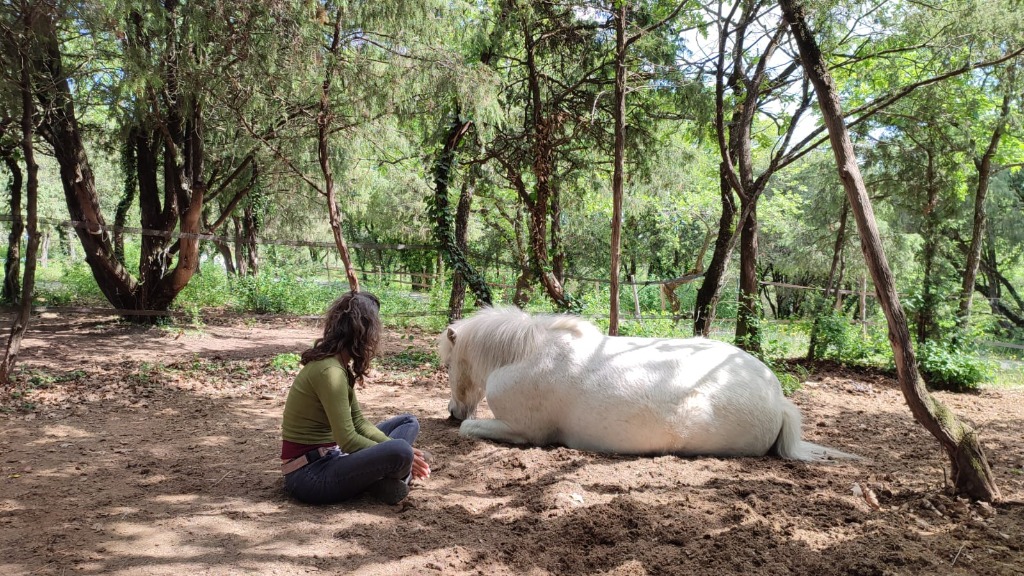 photo seance Virginia Della-Valentina