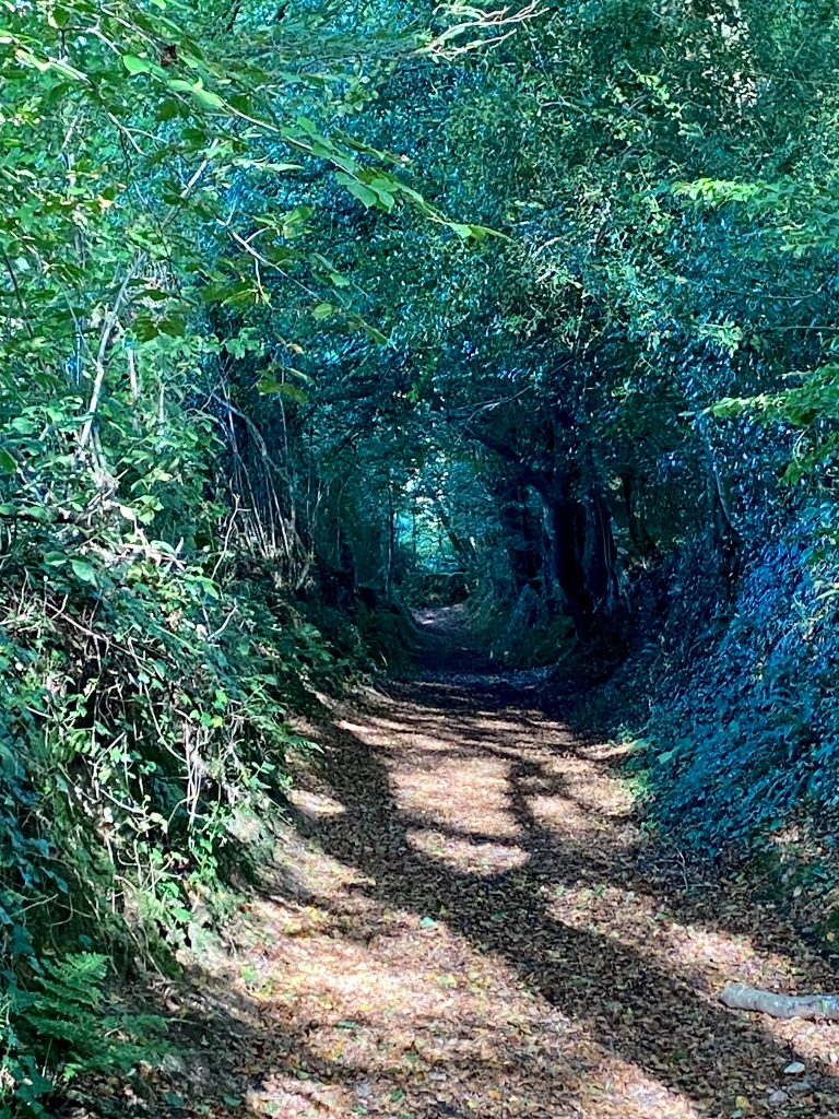 photo cabinet Myriam Guyomard