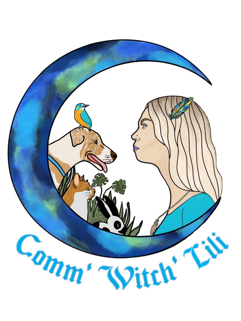 photo cabinet Pauline CROZIER