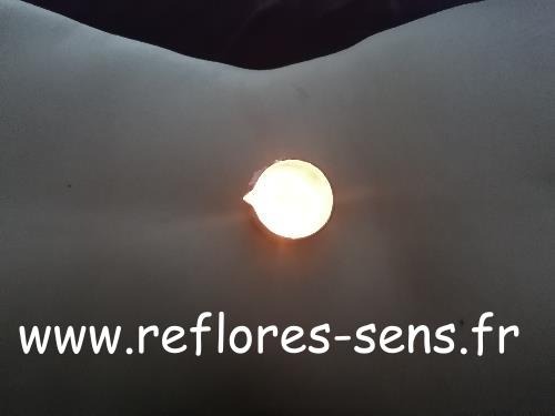 photo seance Reflores & Sens