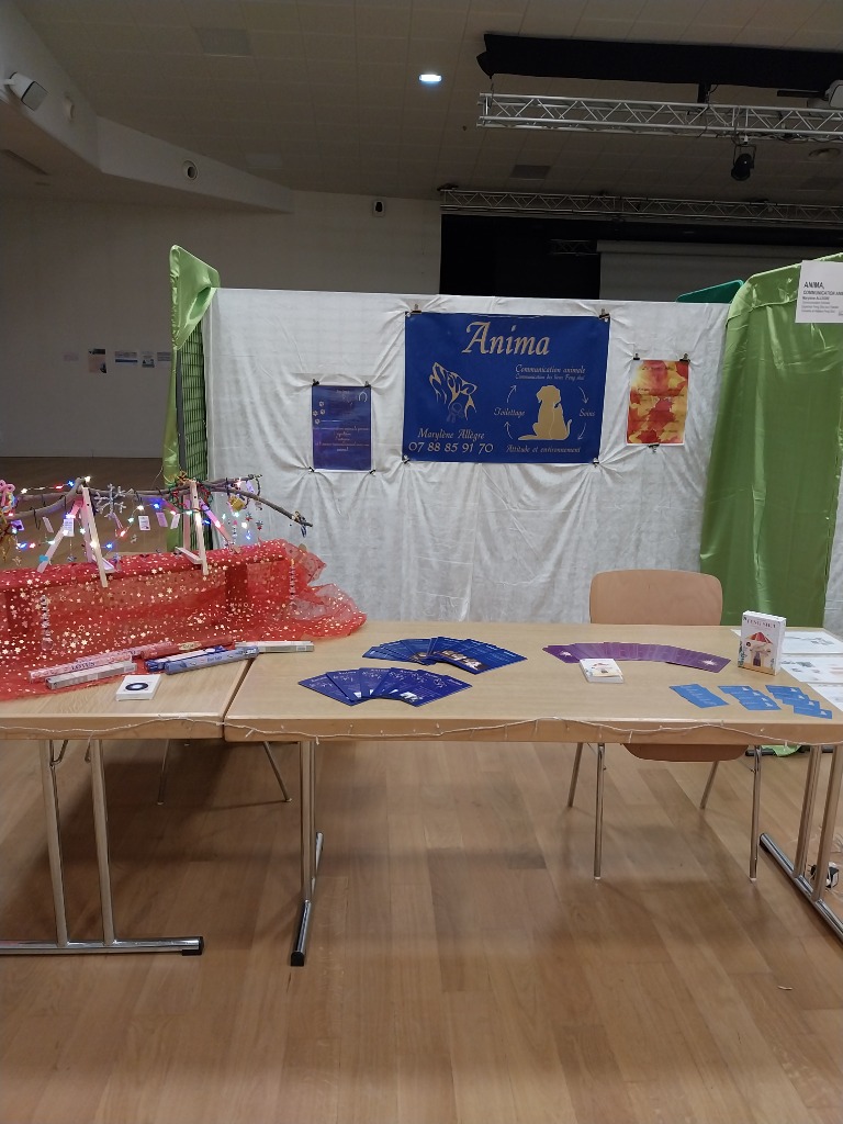 photo activite Anima communication animale et des lieux de vie