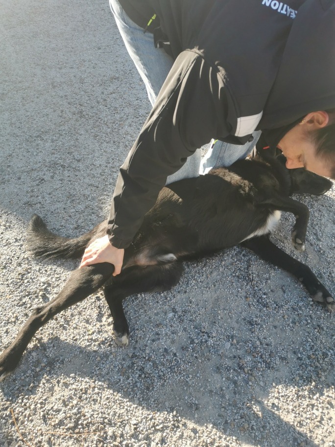 photo activite Cindy meuh creation