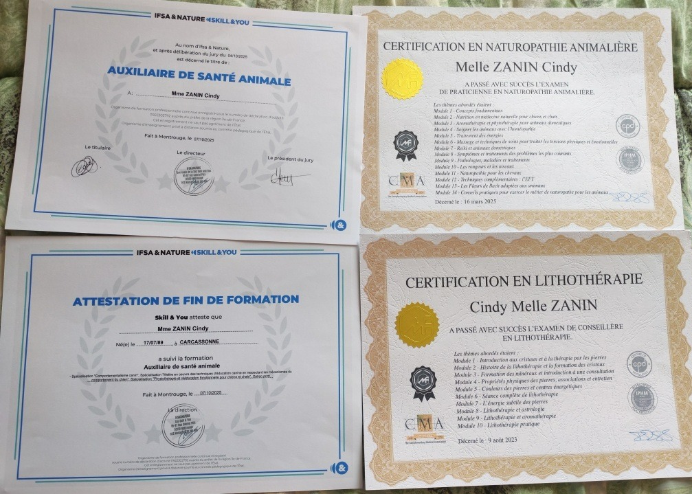 photo diplome Cindy meuh creation