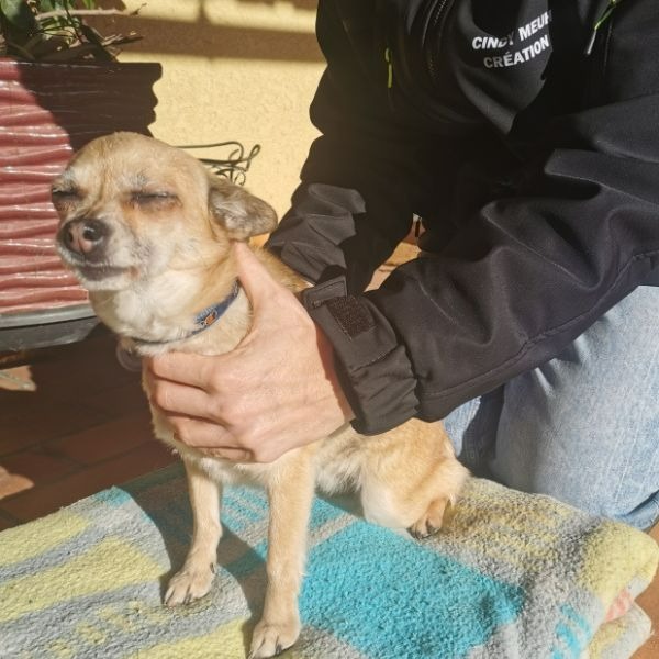 photo seance Cindy meuh creation