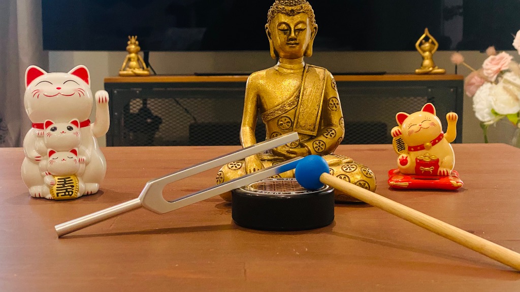 photo cabinet Le loup et le hibou