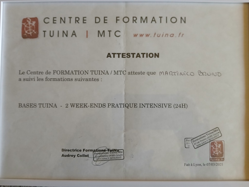 photo activite DU REIKI AU TUINA