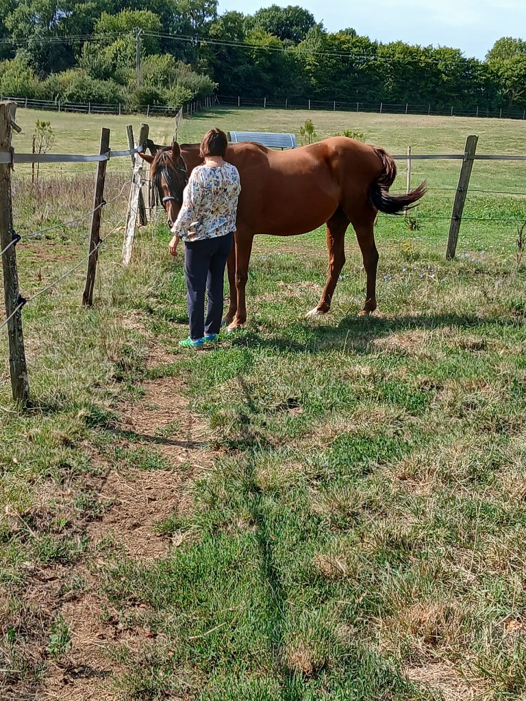 photo seance Des chevaux dans ma vie Gwendoline PARATTE