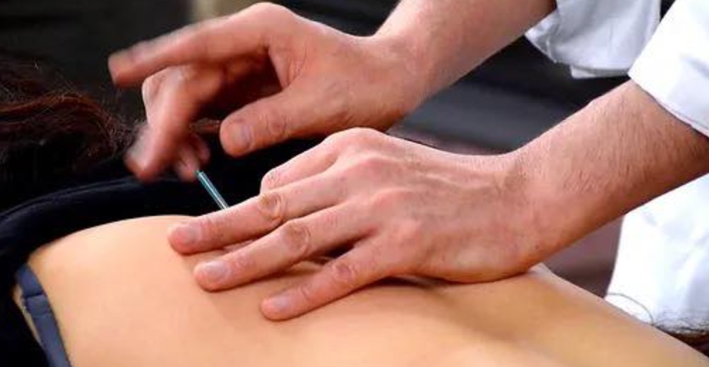 photo portrait Raphaele cronier