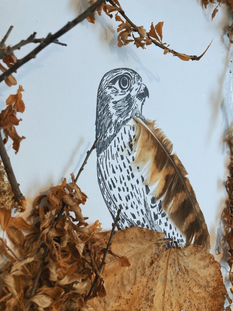 photo activite CHLOE POMMEAU