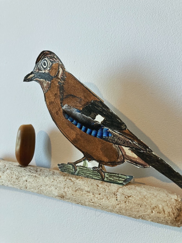 photo diplome CHLOE POMMEAU