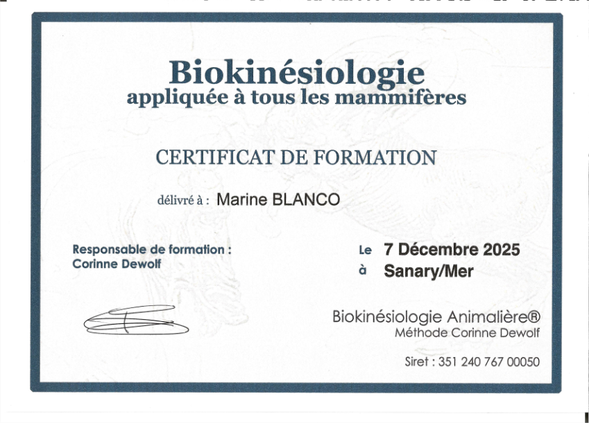 photo diplome Parle avec ton corps