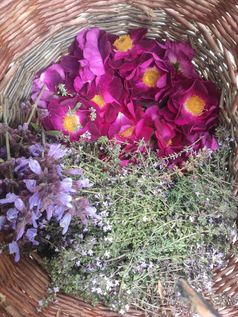 photo activite Serres sur Arget