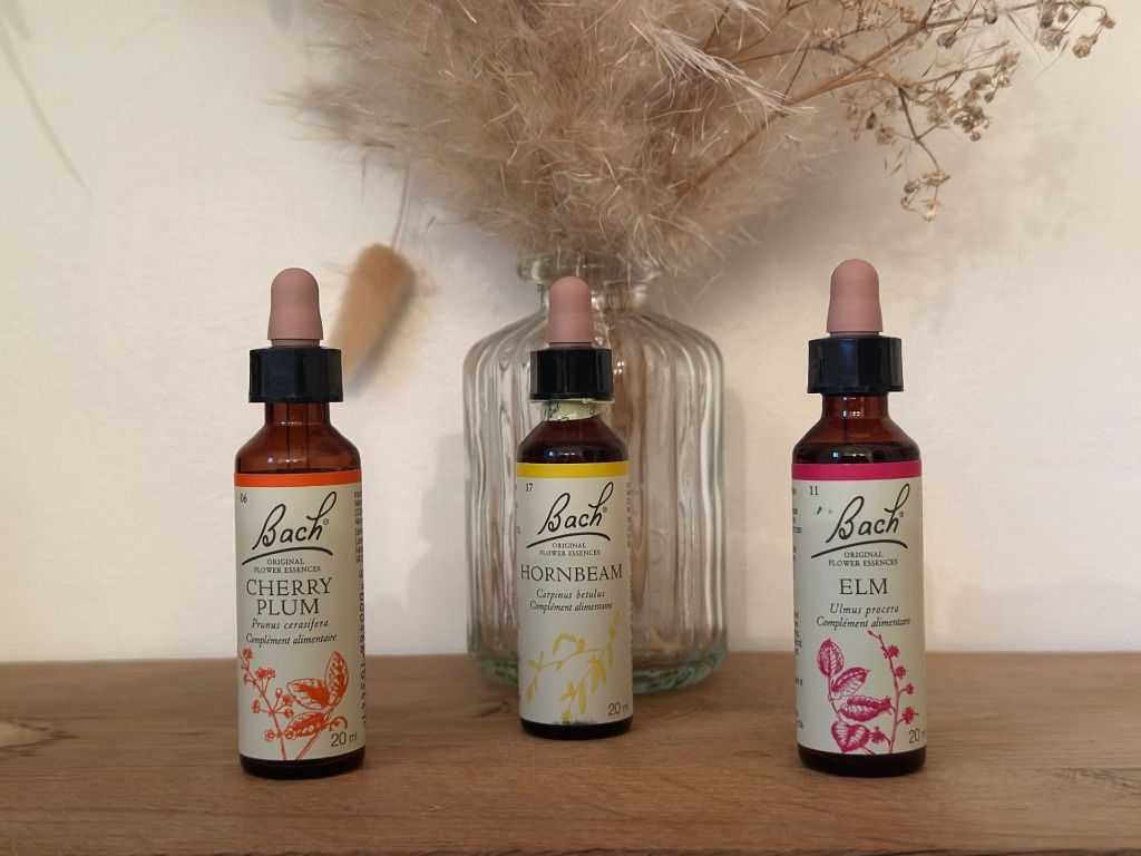 photo diplome Hanora GRANJA