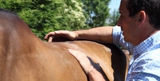 photo activite Thibault VILA Vetequizen