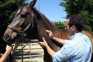 photo cabinet Thibault VILA Vetequizen
