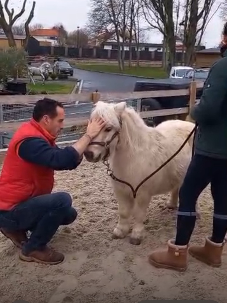 photo portrait Thibault VILA Vetequizen