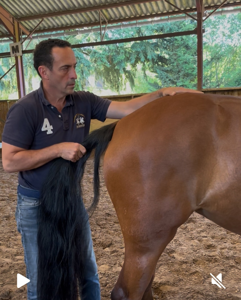 photo seance Thibault VILA Vetequizen