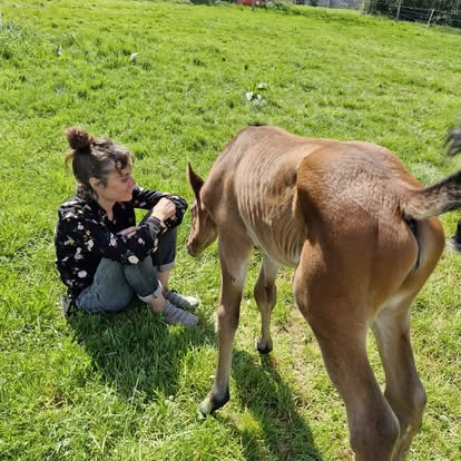 photo activite Béné Carrat Communication animale Energéticiene
