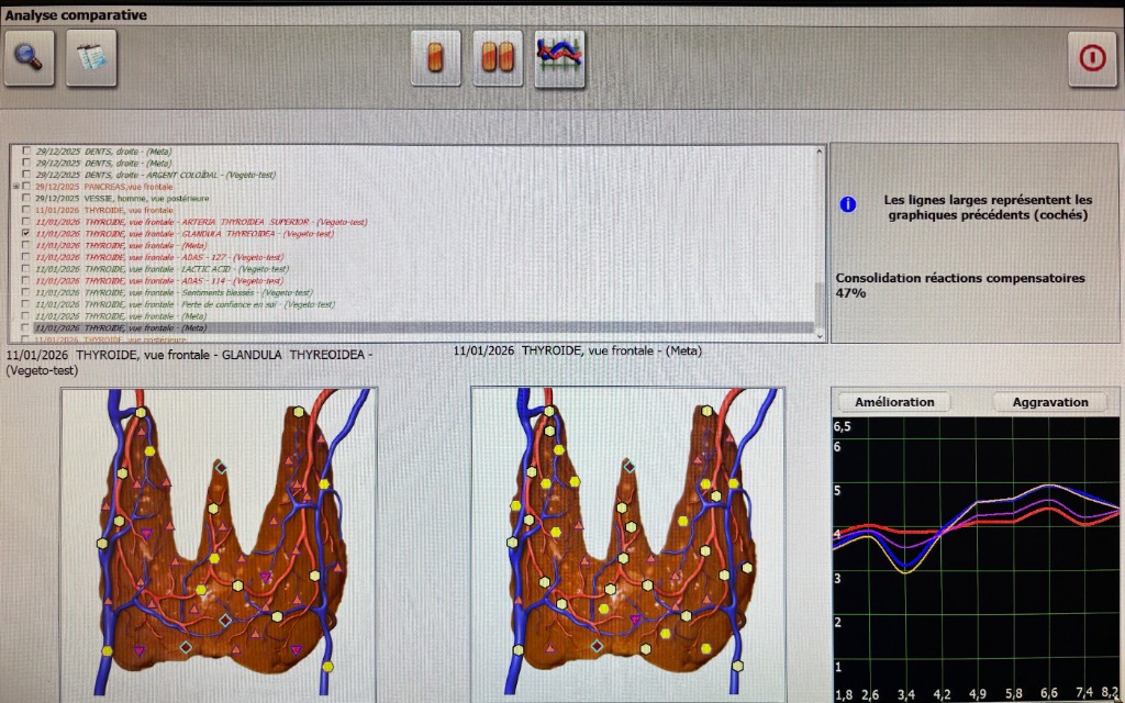 photo activite Xavier PERRIN