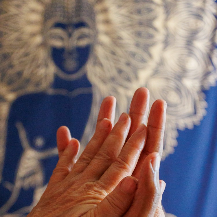 photo seance Sylviane Delage