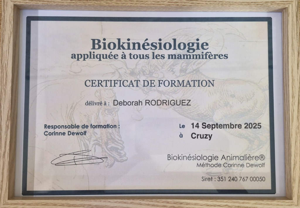 photo diplome Déborah Rodriguez