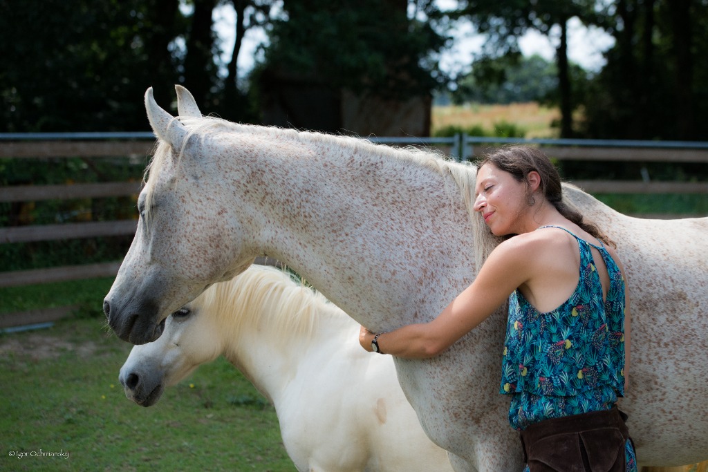 photo seance ÉQUIFÉERIE