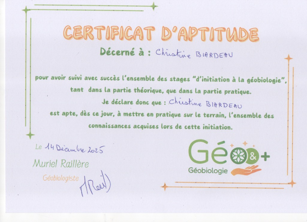 photo activite THE MOON STAR 2026