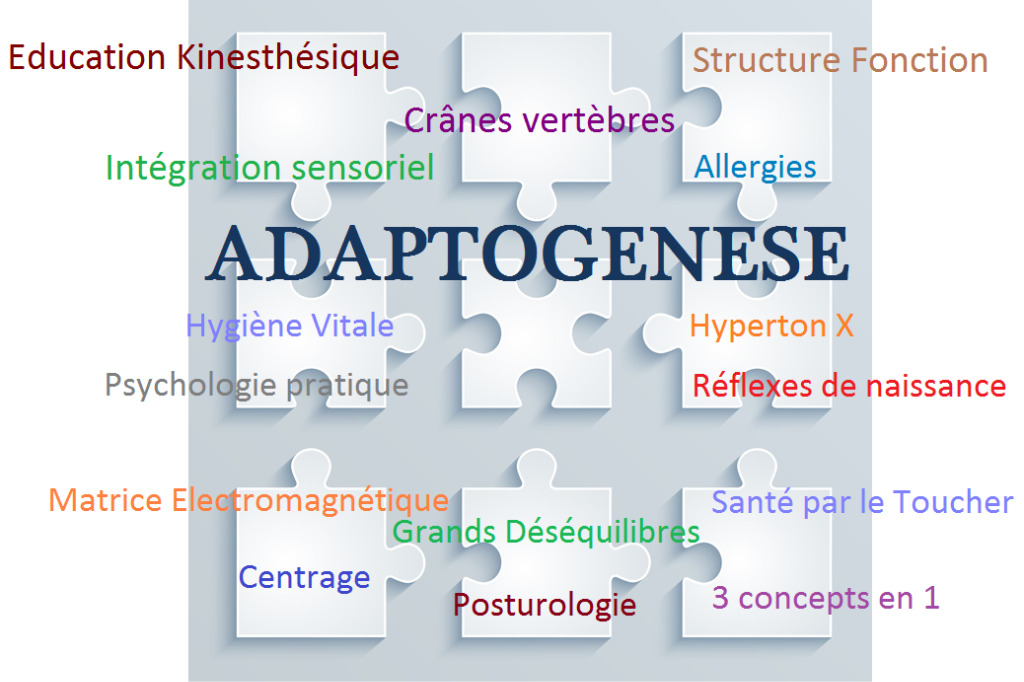 photo activite Labyrinthe-kinésiologie