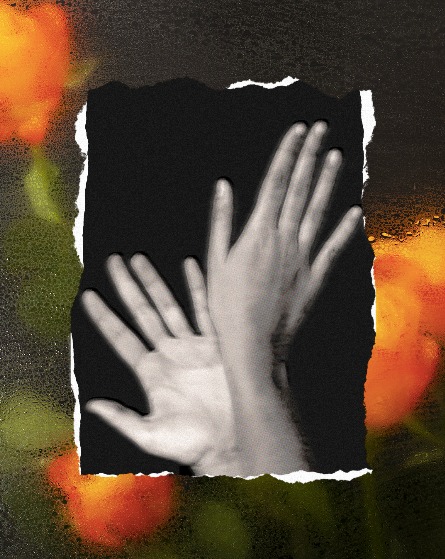 photo cabinet EVE OTTINO