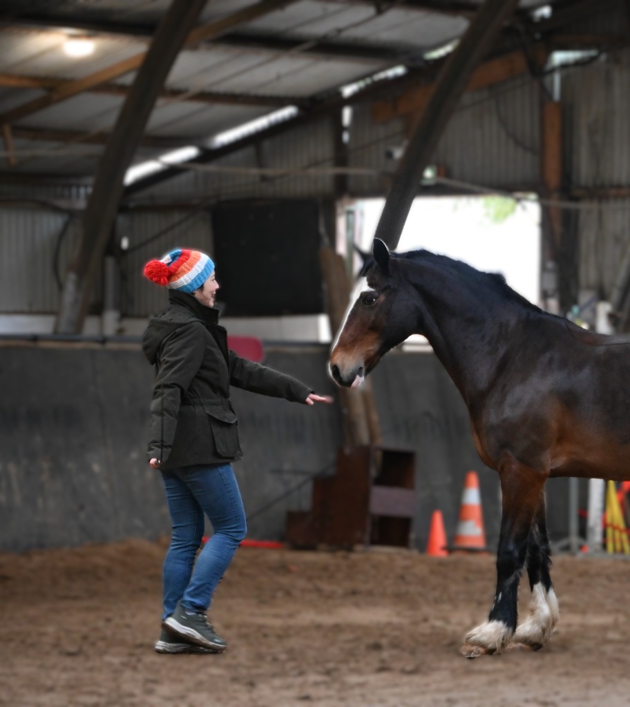 photo activite EkiSkills - Capucine Hoppenot