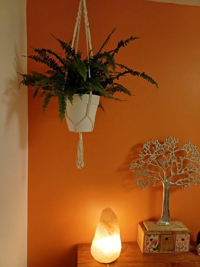 photo activite Au Chalet Mendois