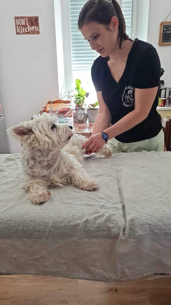 photo activite Atana Shiatsu