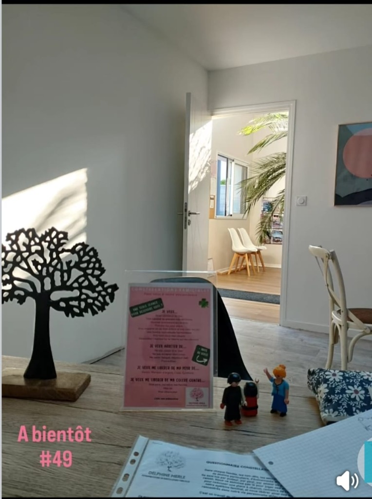 photo seance Delphine Merle Constellations Familiales 