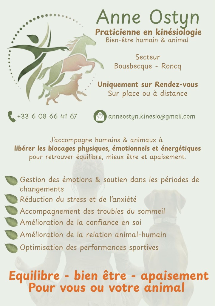photo activite Anne OSTYN