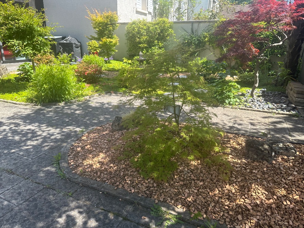 photo activite Nhung Boghossian