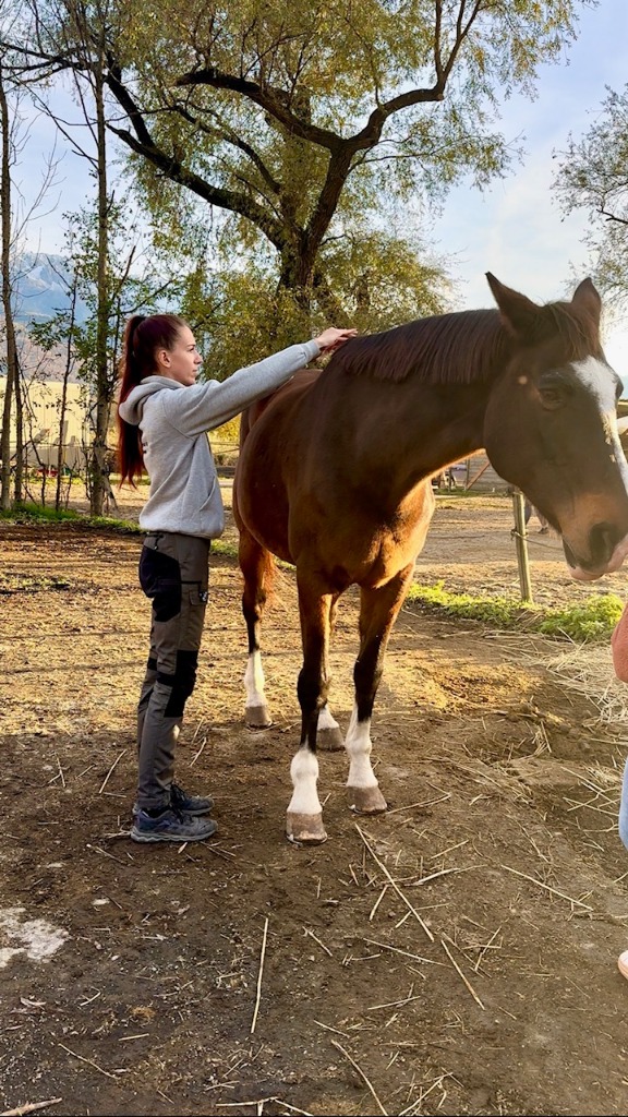 photo seance Lau Swan