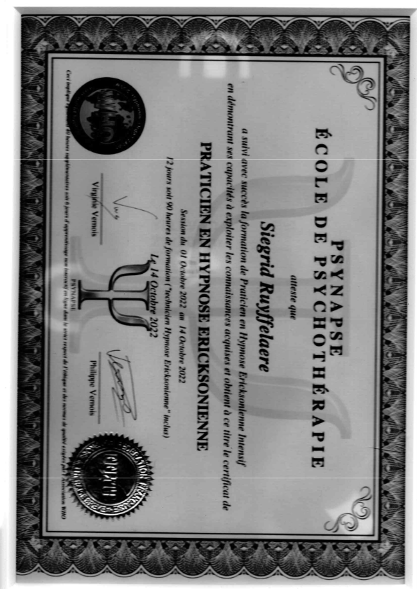 photo diplome Faranimo