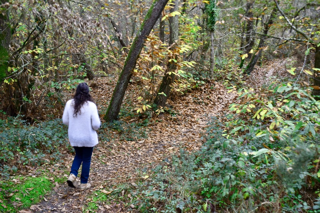 photo activite Johanne Dellieux