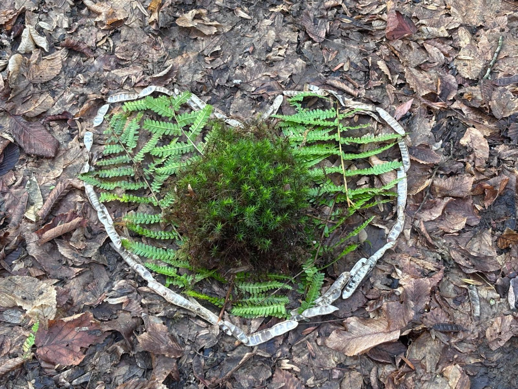 photo seance Renouveauversois RUBIN rémi