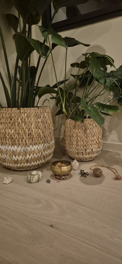 photo cabinet Laureen Vinçonneau